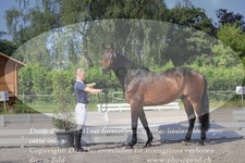 ref. photo 3201682