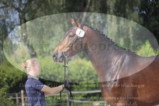 ref. photo 3201684