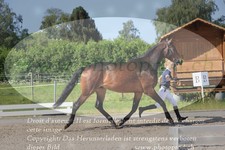 ref. photo 3201687