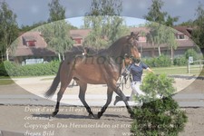 ref. photo 3201689
