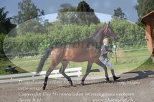 ref. photo 3201692