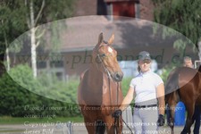 ref. photo 3201693
