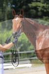 ref. photo 3201701