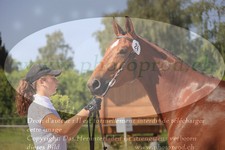 ref. photo 3201702