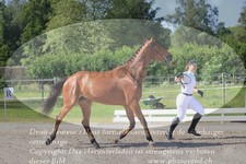 ref. photo 3201703