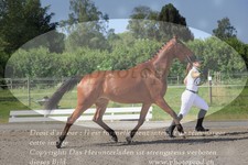 ref. photo 3201704