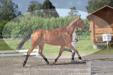 ref. photo 3201708