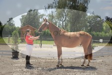 ref. photo 3201709