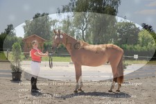 ref. photo 3201711