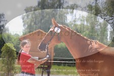 ref. photo 3201712