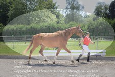ref. photo 3201714