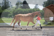 ref. photo 3201715