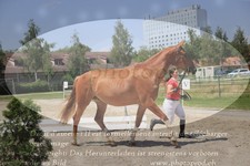 ref. photo 3201718