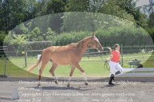 ref. photo 3201720