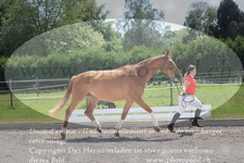 ref. photo 3201721