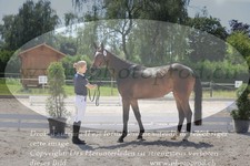 ref. photo 3201723