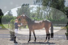 ref. photo 3201724