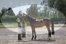 ref. photo 3201725