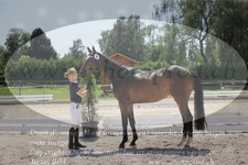 ref. photo 3201726