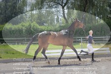 ref. photo 3201729