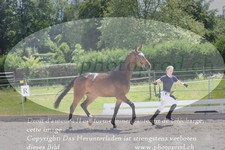 ref. photo 3201732