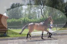 ref. photo 3201735