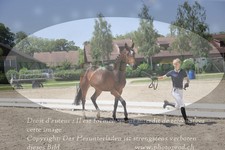 ref. photo 3201737