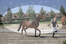 ref. photo 3201738