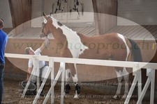 ref. photo 3201741