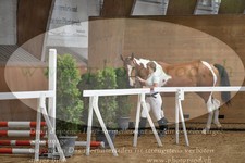 ref. photo 3201744