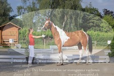 ref. photo 3201755