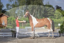 ref. photo 3201758