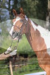ref. photo 3201759