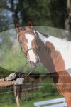 ref. photo 3201760