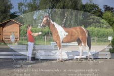ref. photo 3201761