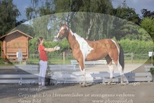 ref. photo 3201762