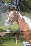 ref. photo 3201763