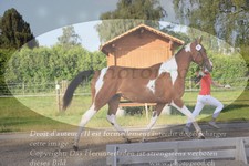 ref. photo 3201766