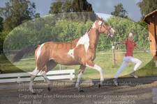 ref. photo 3201771