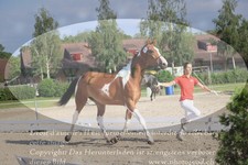ref. photo 3201773