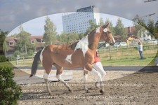 ref. photo 3201774