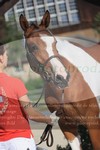ref. photo 3201775