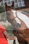 ref. photo 3201776