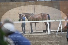 ref. photo 3201786