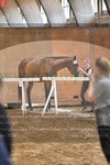 ref. photo 3201788