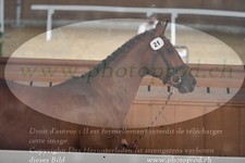 ref. photo 3201794