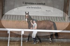 ref. photo 3201799