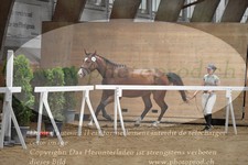 ref. photo 3201802