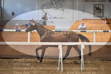 ref. photo 3201810