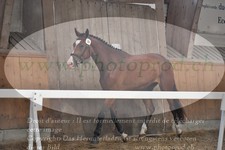ref. photo 3201812
